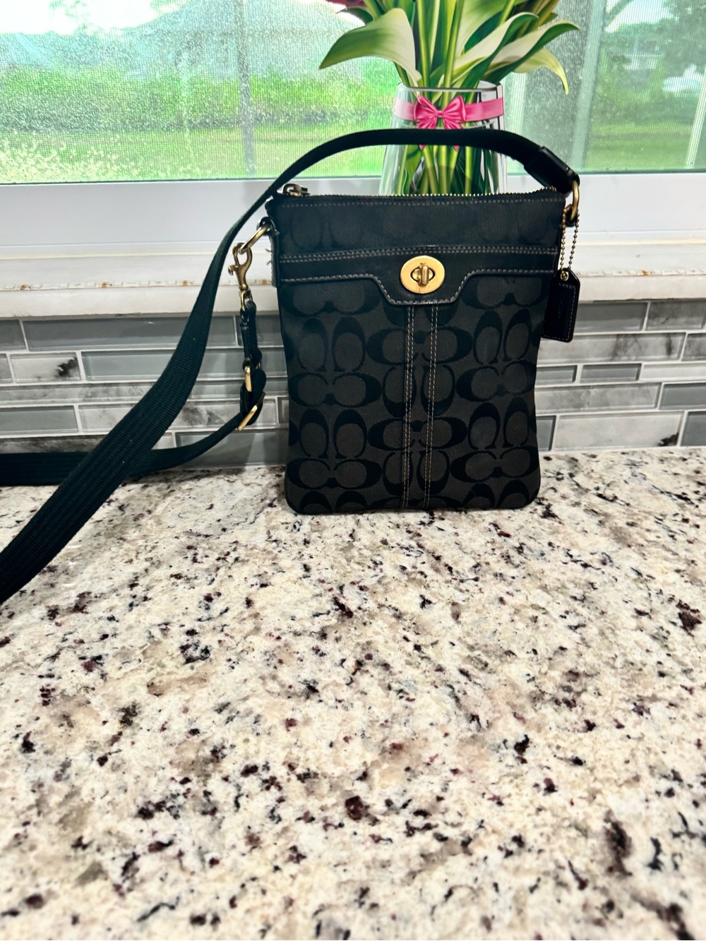 Coach Signature Hampton Swingpack Crossbody Bag
Signature C Vintage Purse